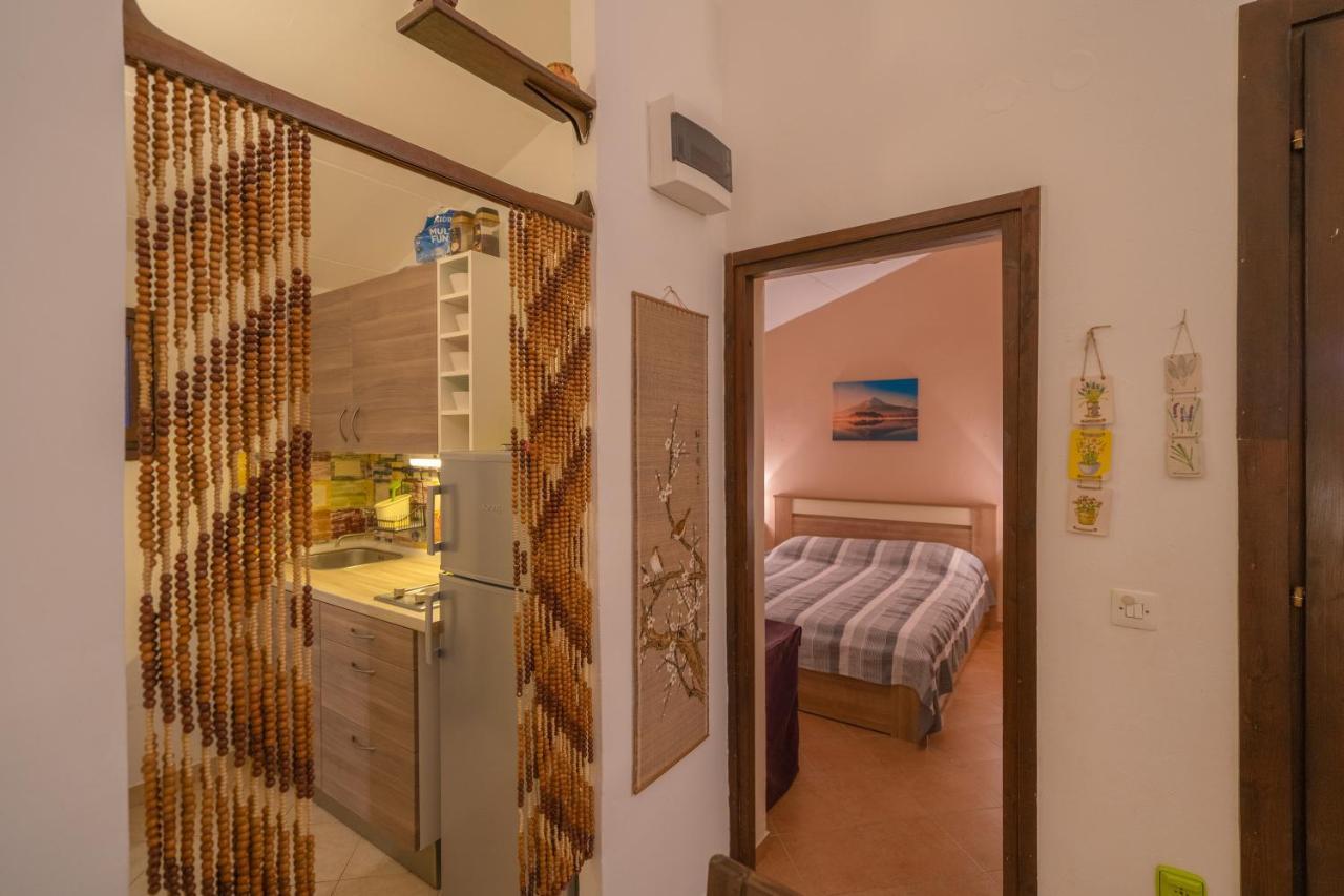 Apartment Tea Poreč Zewnętrze zdjęcie